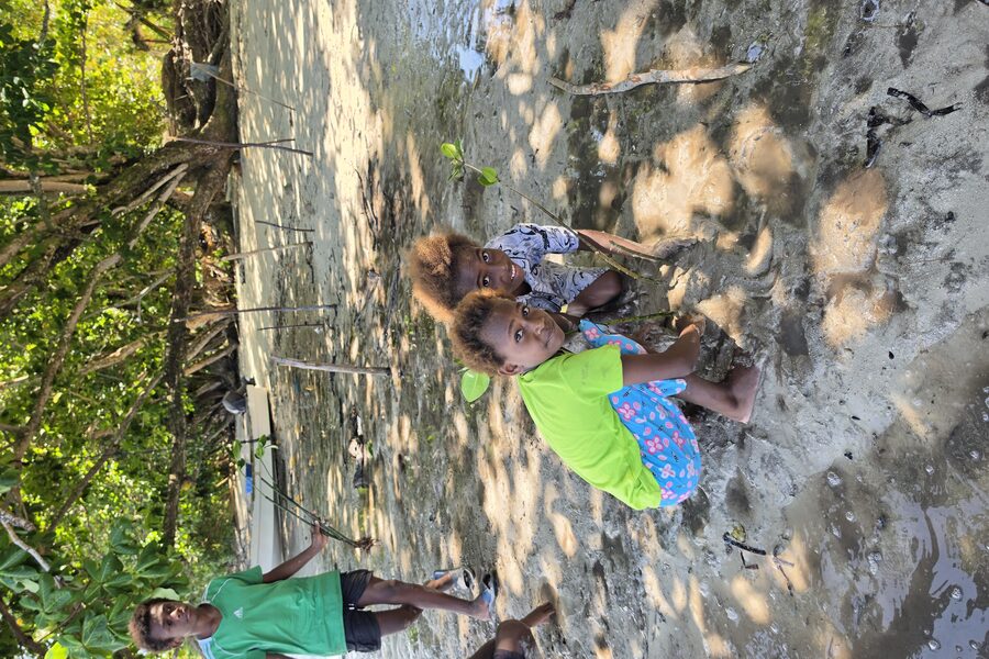 Community Mangrove Planting