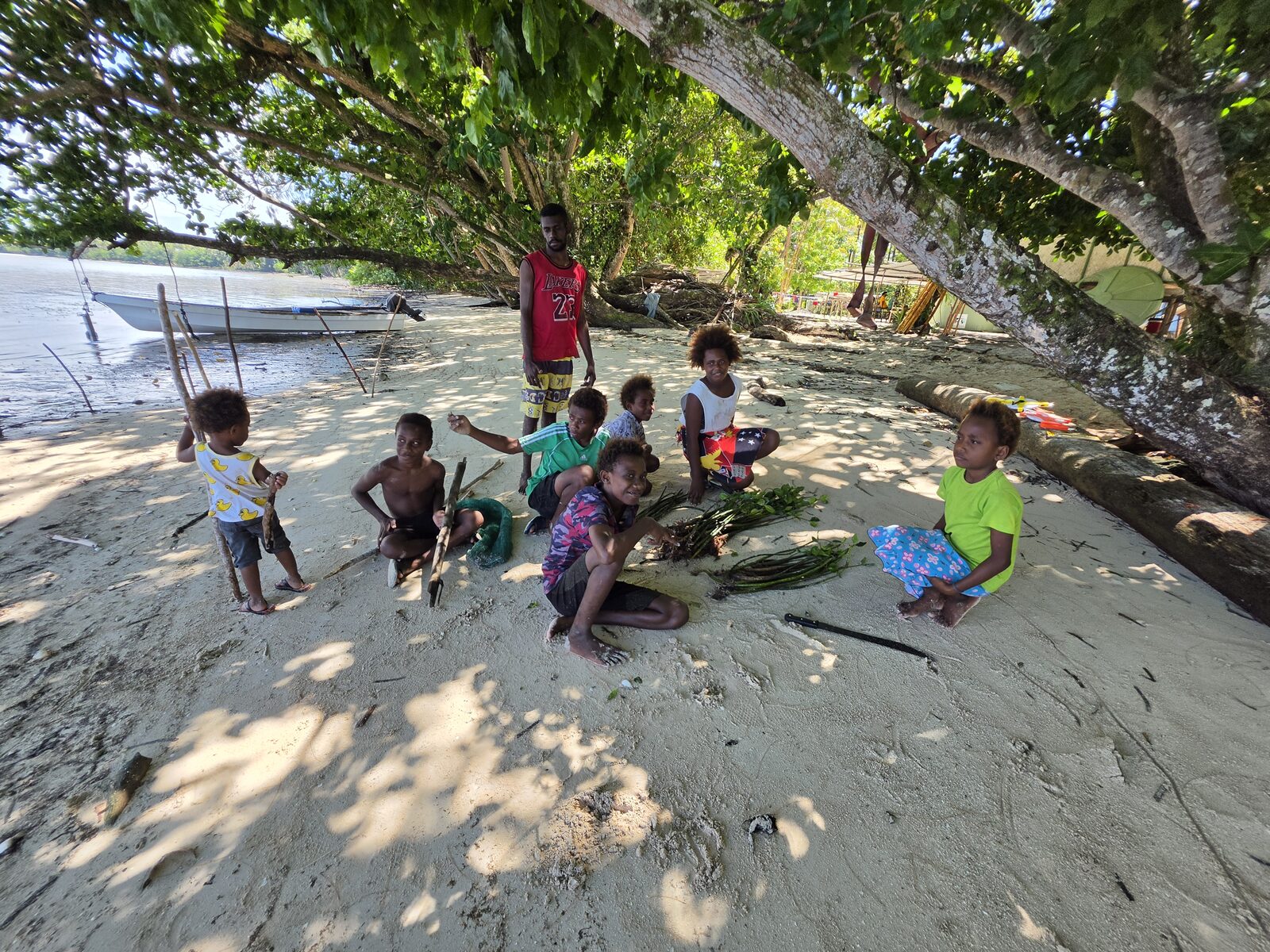 Mangrove Rehabilitation